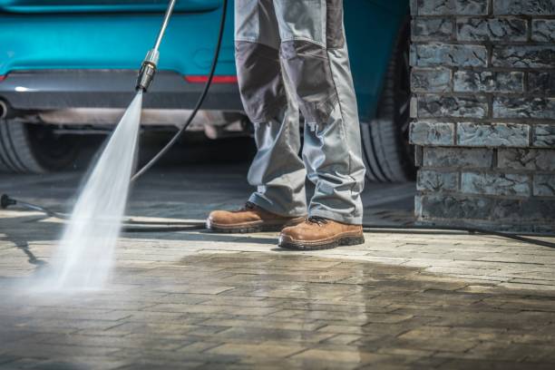 Best Oil Spill Cleanup  in Gulf Shores, AL